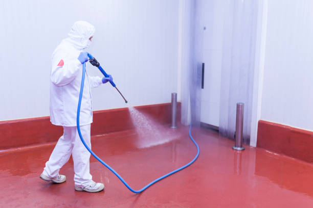 Best Post-Construction Pressure Washing  in Sturgeon, PA